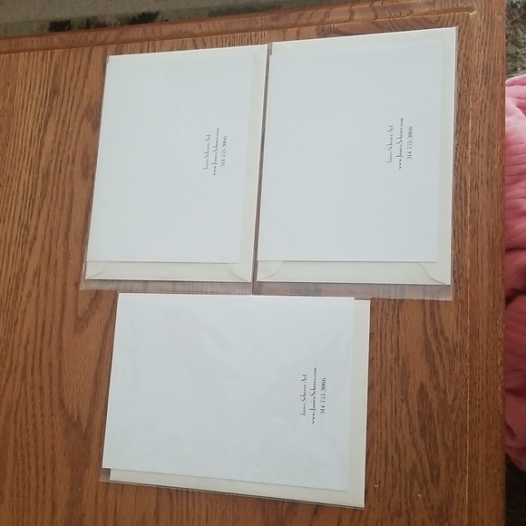 BRAND NEW Lot Of 3 Blank Janice Scherer Art Notecards - Picture 2 of 6